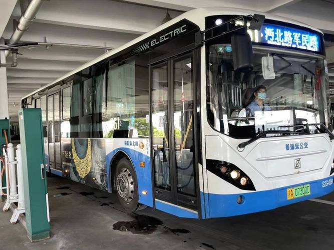 "杜佳玮说,"通过统计,浦东充电站2020年约减排5万吨
